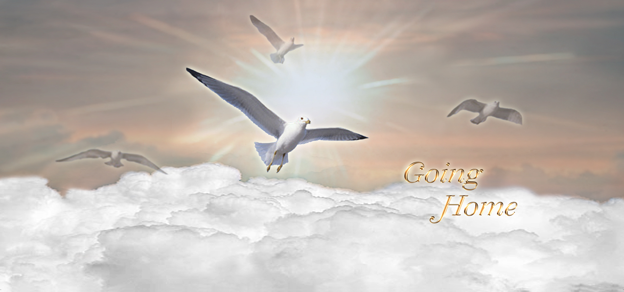Going Home Clouds Birds Bronze